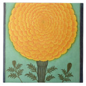 Eine Ringelblume, vom kleinen Clive Album (w/c auf Fliese (Vorderseite)