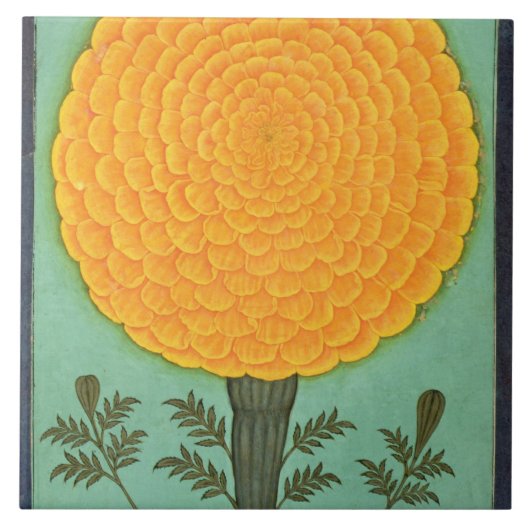 Eine Ringelblume, vom kleinen Clive Album (w/c auf Fliese (Vorderseite)