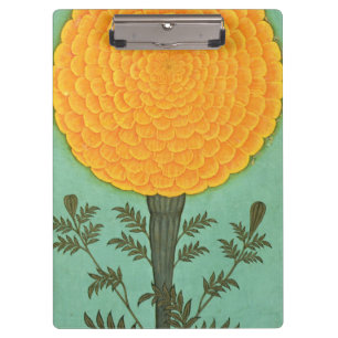 Eine Ringelblume, vom kleinen Clive Album (w/c auf Klemmbrett