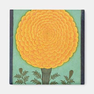 Eine Ringelblume, vom kleinen Clive Album (w/c auf Magnet