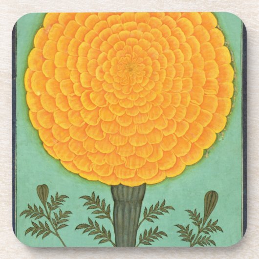 Eine Ringelblume, vom kleinen Clive Album (w/c auf Untersetzer (Vorderseite)