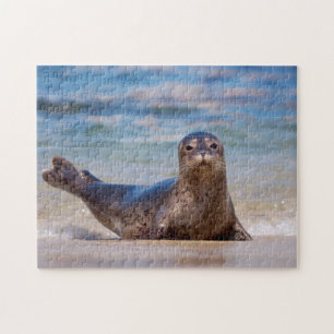 Eine Robbe an einem Strand entlang der Pazifikküst Puzzle