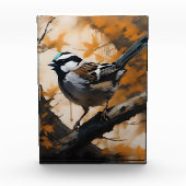 Eine Robin's Serenade in der Kanone, Fotoblock (Vorderseite)