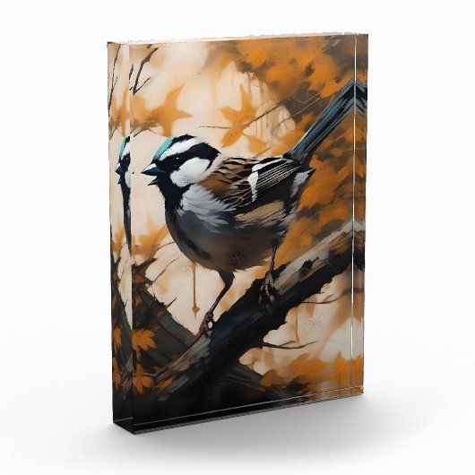 Eine Robin's Serenade in der Kanone, Fotoblock (Links)