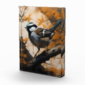 Eine Robin's Serenade in der Kanone, Fotoblock (Rechts)