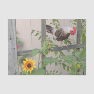 Eine Rooster-Inspektion von Sonnenblumen Seidenpapier