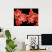 eine rosa Gladiola Poster (Heimbüro)