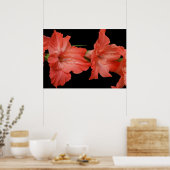eine rosa Gladiola Poster (Küche)