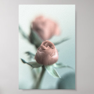 Eine rosa Rose für deinen Liebsten... Poster