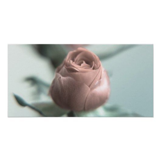 Eine rosa Rose für deinen Liebsten... Poster (Vorderseite)