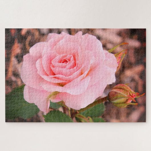 Eine rosa Rose im Garten Puzzle (Horizontal)