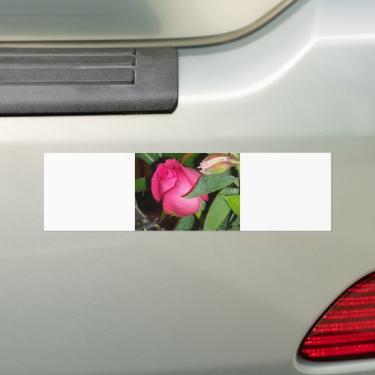 Eine Rose Autoaufkleber (Auf Auto)