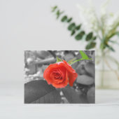 Eine Rose der Hoffnung Postkarte (Stehend Vorderseite)