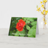 Eine Rose, ein glücklicher Muttertag! Karte (Gelbe Blume)