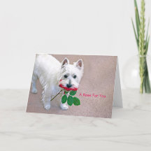 "Eine Rose für Sie" jeden Anlaß Grußkarte