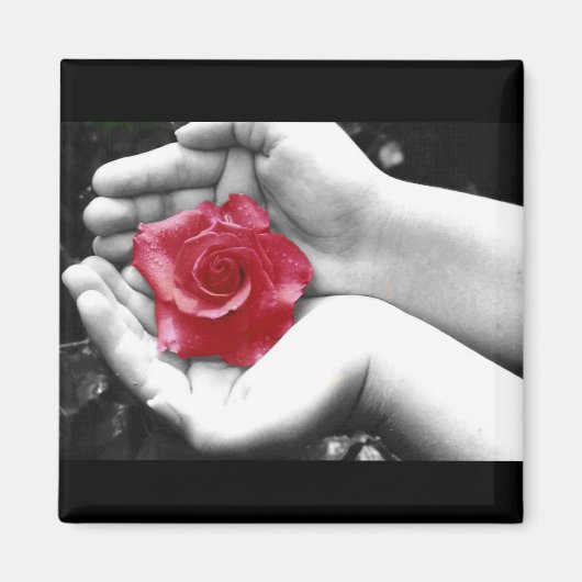 Eine Rose in Hand 2 Magnet (Vorne)