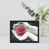 Eine Rose in Hand 2 Postkarte (Stehend Vorderseite)
