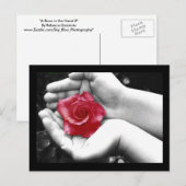 Eine Rose in Hand 2 Postkarte (Vorne/Hinten)