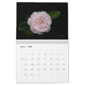 eine Rose ist eine Rose ist ein Rosenkalender für Kalender (Mär 2026)