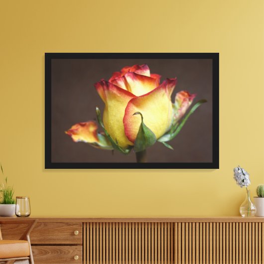 Eine Rose ist eine Rose Leinwanddruck (Insitu (Wohnzimmer))