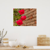 eine Rose klettert auf ein Backsteinwandposter Poster (Küche)