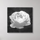 Eine Rose mit beliebigem Namen..., Fine Art Leinwanddruck (Vorderseite)