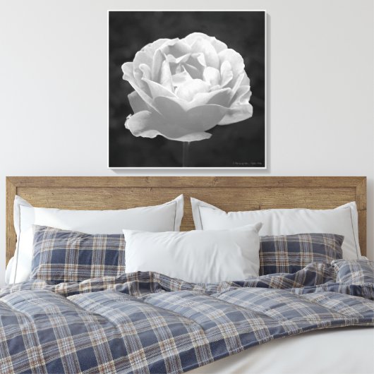 Eine Rose mit beliebigem Namen..., Fine Art Leinwanddruck (Insitu (Schlafzimmer))