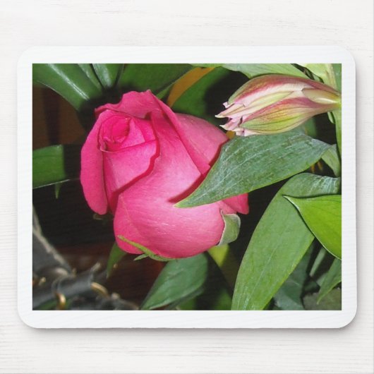 Eine Rose Mousepad (Vorne)
