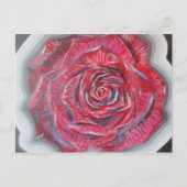 Eine Rose Postkarte (Vorderseite)