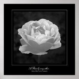 Eine Rose von jedem anderen... im Stil einer Kunst Poster