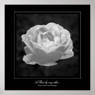 Eine Rose von jedem anderen... im Stil einer Kunst Poster