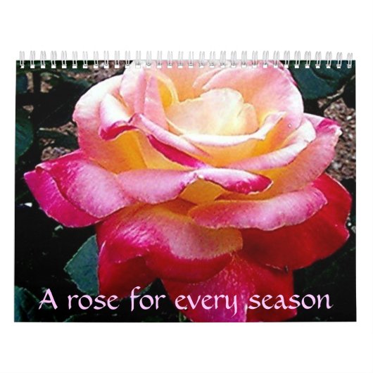 Eine Rose zu jeder Jahreszeit Kalender (Titelbild)