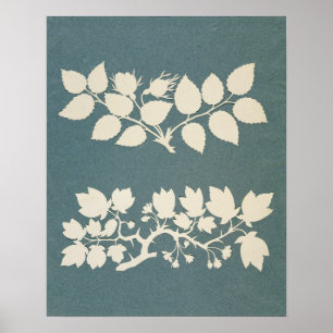 Eine Rosen-Niederlassung und Jasmin-Niederlassung Poster