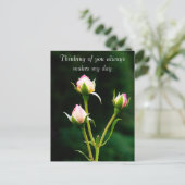 Eine Rosenbude-Blume Postkarte (Stehend Vorderseite)