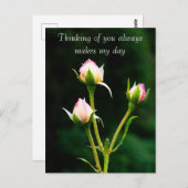 Eine Rosenbude-Blume Postkarte (Vorne/Hinten)