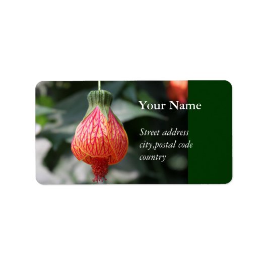 eine rot-aufwärts hängende Blume Adressaufkleber (Vorne)