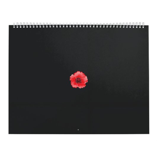 eine rote Blume mit schwarzer Mitte auf schwarzem  Kalender (Titelbild)