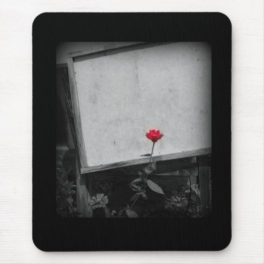 Eine Rote Blume Mousepad (Vorne)