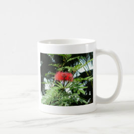 Eine rote Blume namens Phoenix Kaffeetasse
