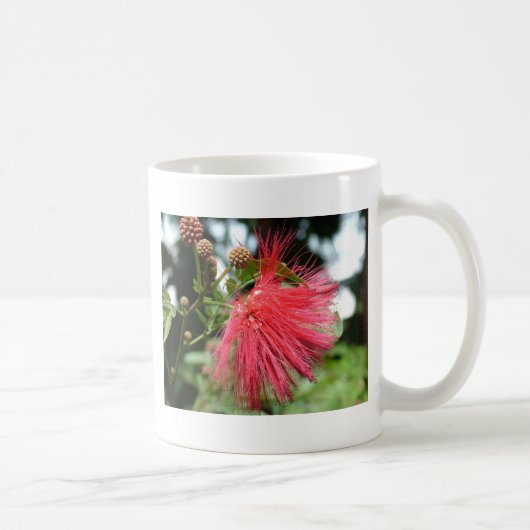 Eine rote Blume namens Phoenix Kaffeetasse (Rechts)