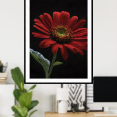 eine rote Daisy Links Seite auf schwarz, Poster (Heimbüro)