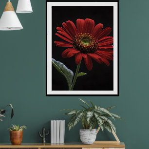 eine rote Daisy Links Seite auf schwarz, Poster