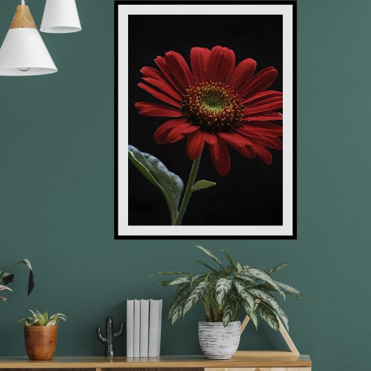 eine rote Daisy Links Seite auf schwarz, Poster (Wohnzimmer 1)