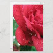 Eine Rote Rose Briefpapier (Vorne/Hinten)