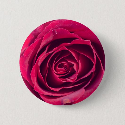 Eine Rote Rose Button (Vorderseite)