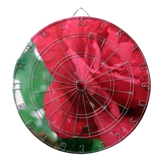Eine Rote Rose Dartscheibe (vorne)