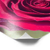 Eine rote Rose Fotodruck (Ecke)