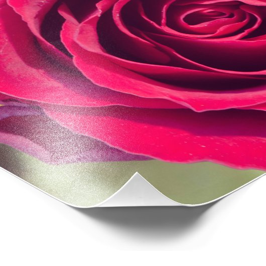 Eine rote Rose Fotodruck (Ecke)