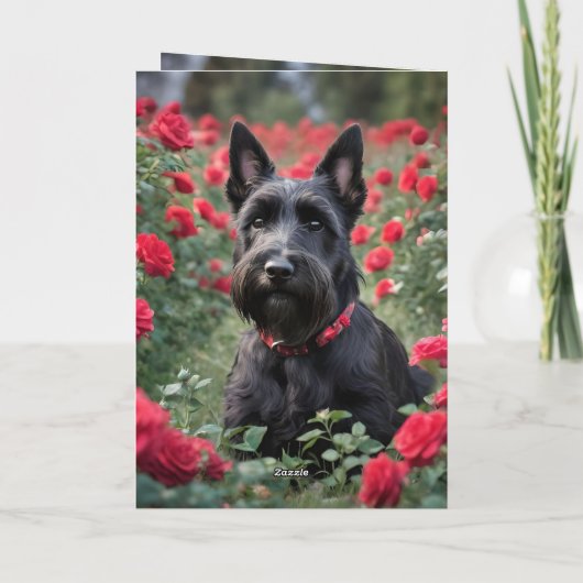 "Eine Rote Rose für den Schwarzen Schottischen Rei Karte (Rückseite)