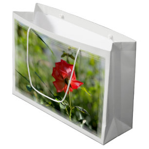 Eine rote Rose Große Geschenktüte